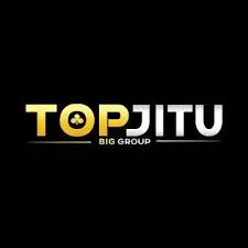TOPJITU - Aplikasi Download Musik Terbaik untuk Penggemar Musik